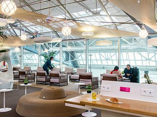 The Canopy Lounge At Nice Airport